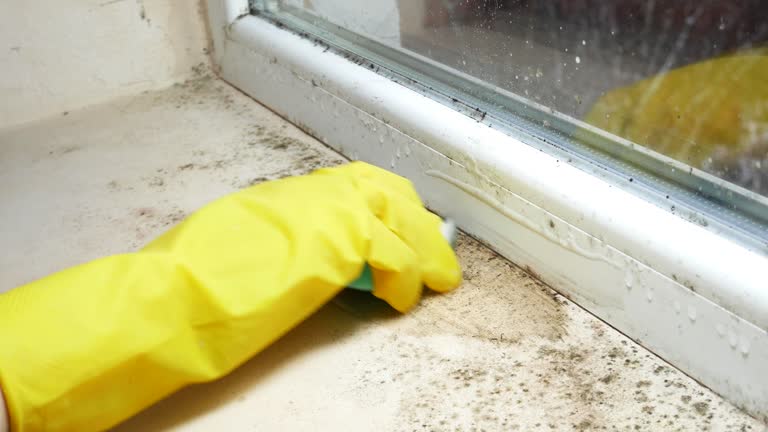 Best Mold Remediation for Healthcare Facilities  in Lake Sconsin, WI